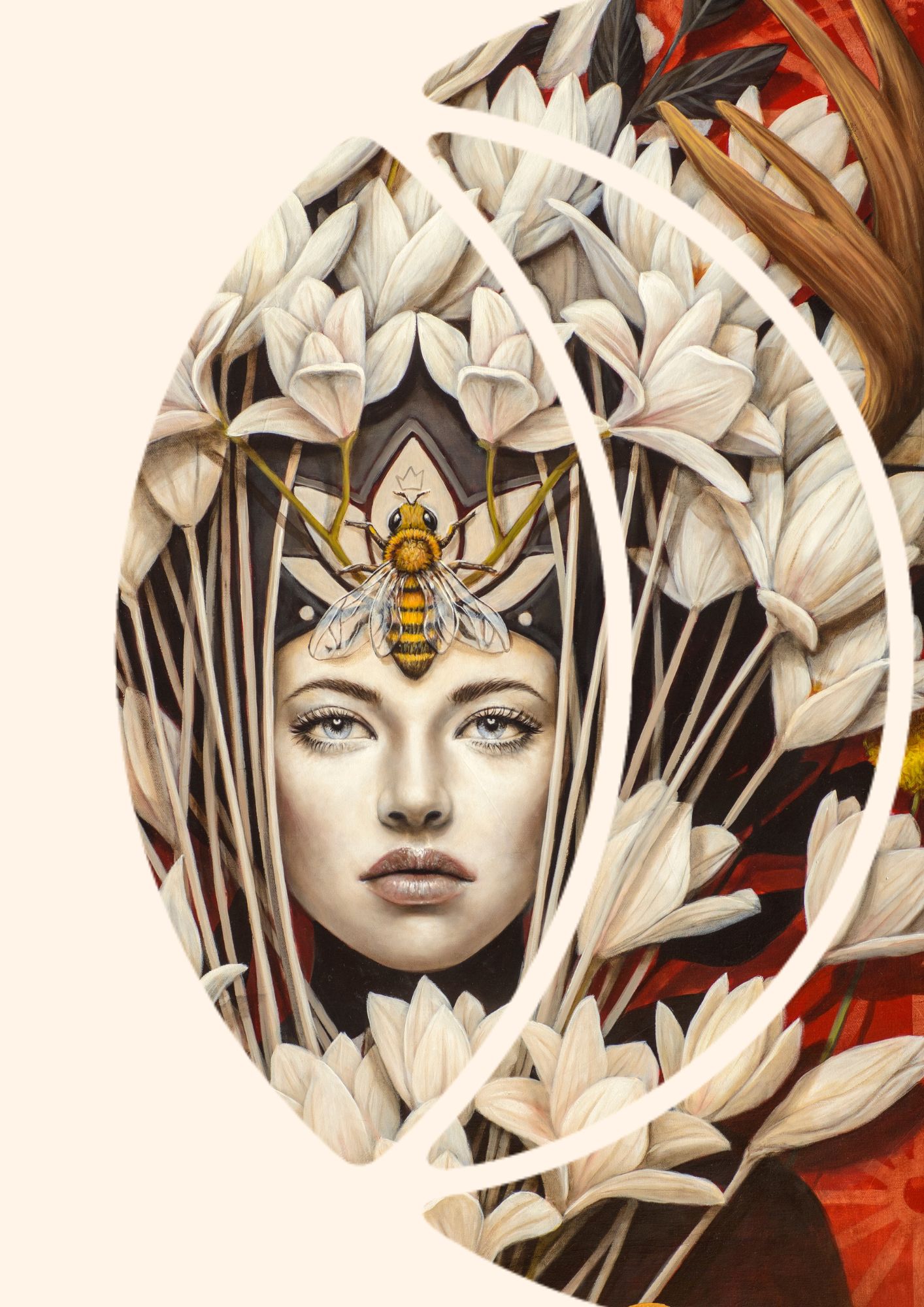Rose of Venus Program Image